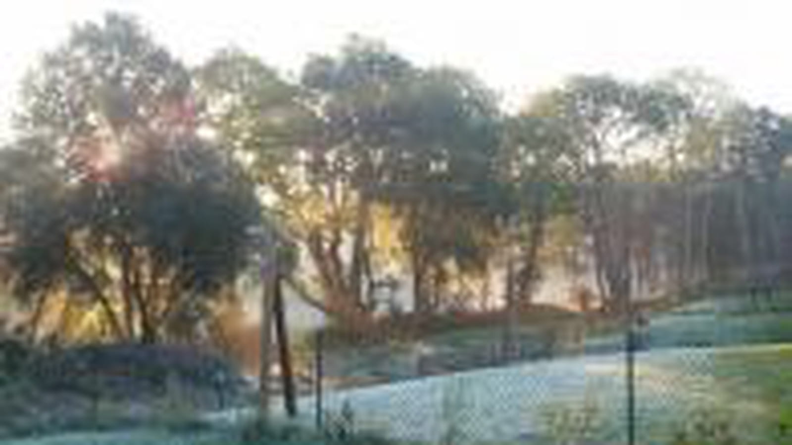 Matin paisible