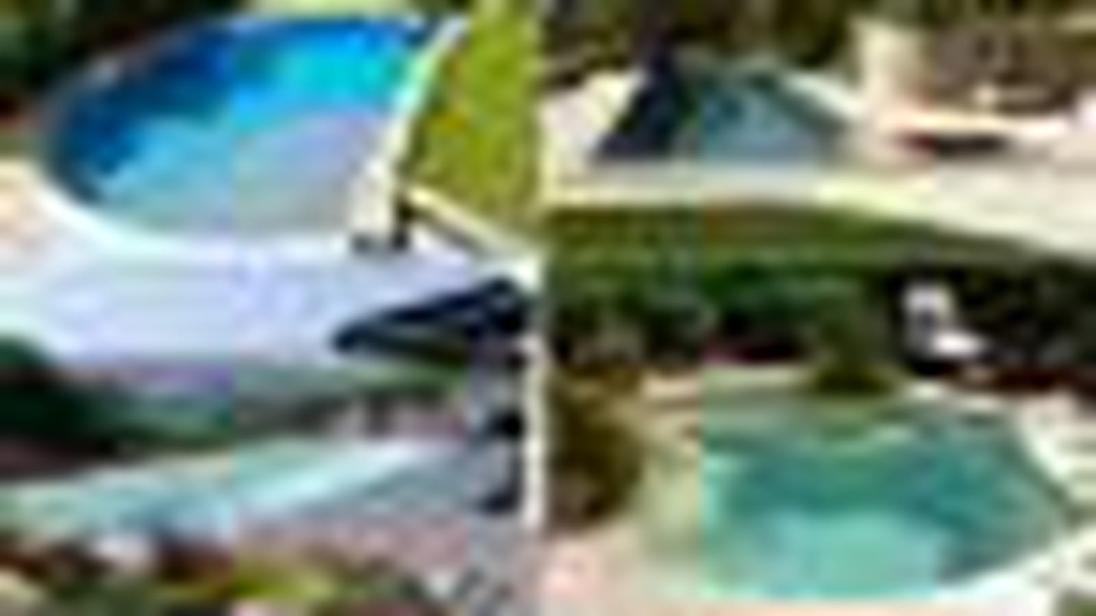 Trophées de la piscine