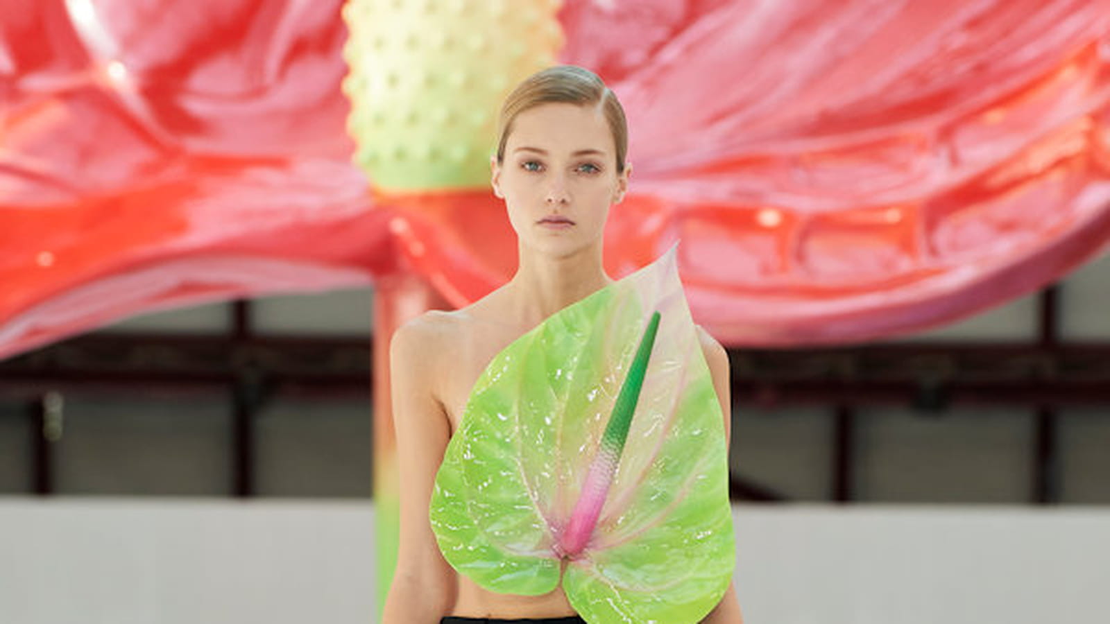 Loewe