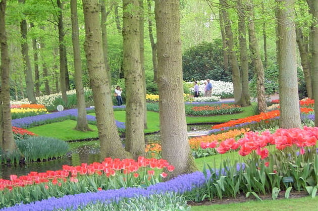 Le jardin enchanteur