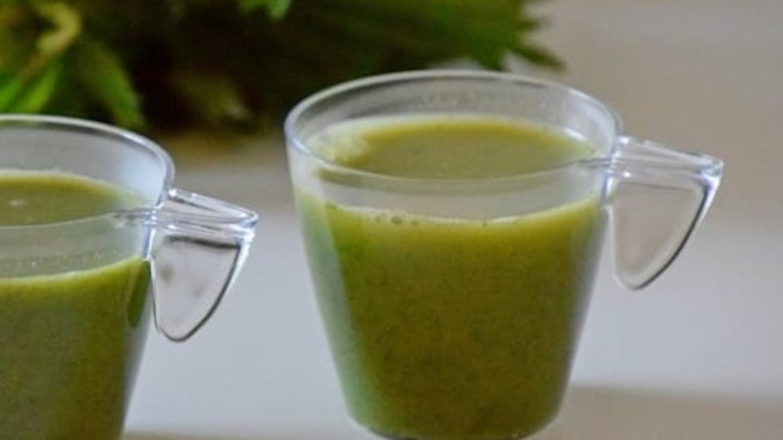Soupe à l'ortie parfumée au bleu de chèvre