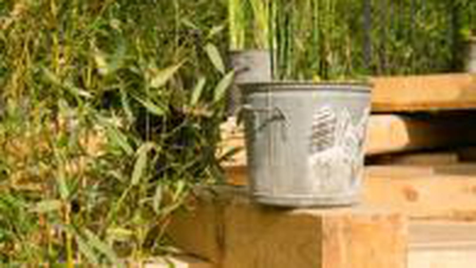 Jardin nomade
