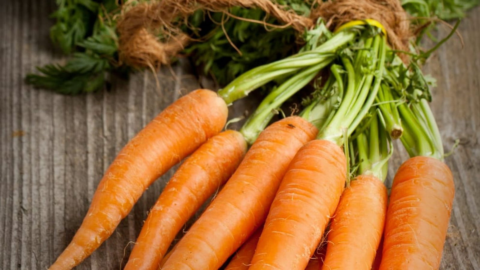 Carottes