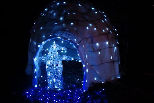 Un igloo féerique