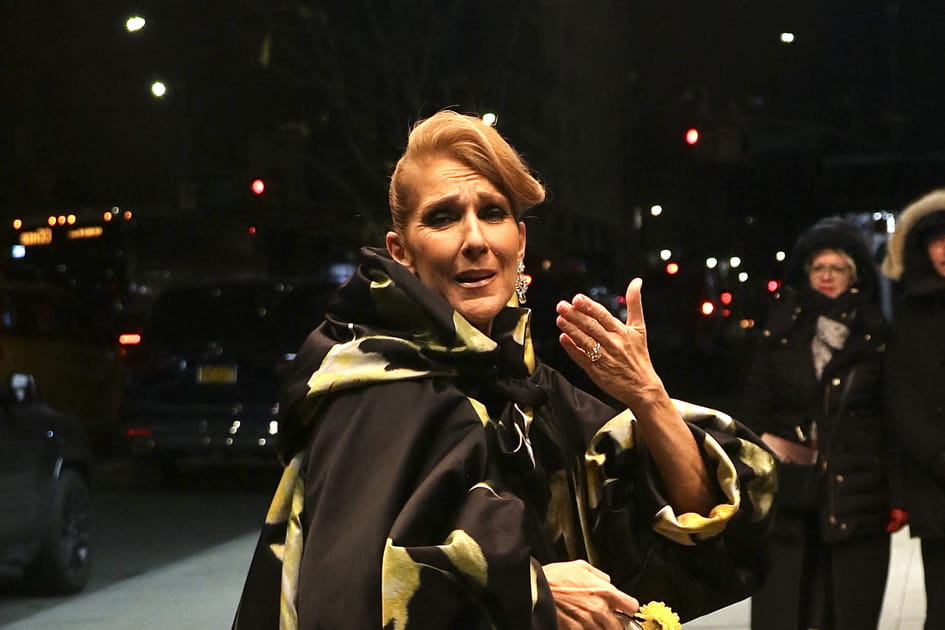 Flop&nbsp;: C&eacute;line Dion et sa coiffure r&eacute;tro