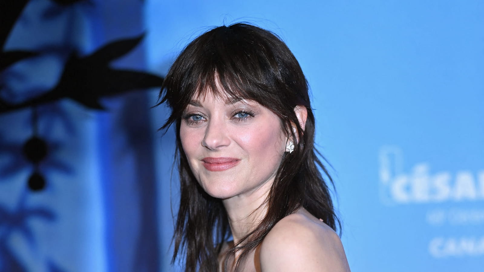 Looks beauté de Marion Cotillard
