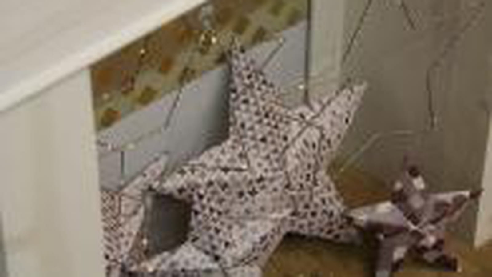 Etoiles de Noel