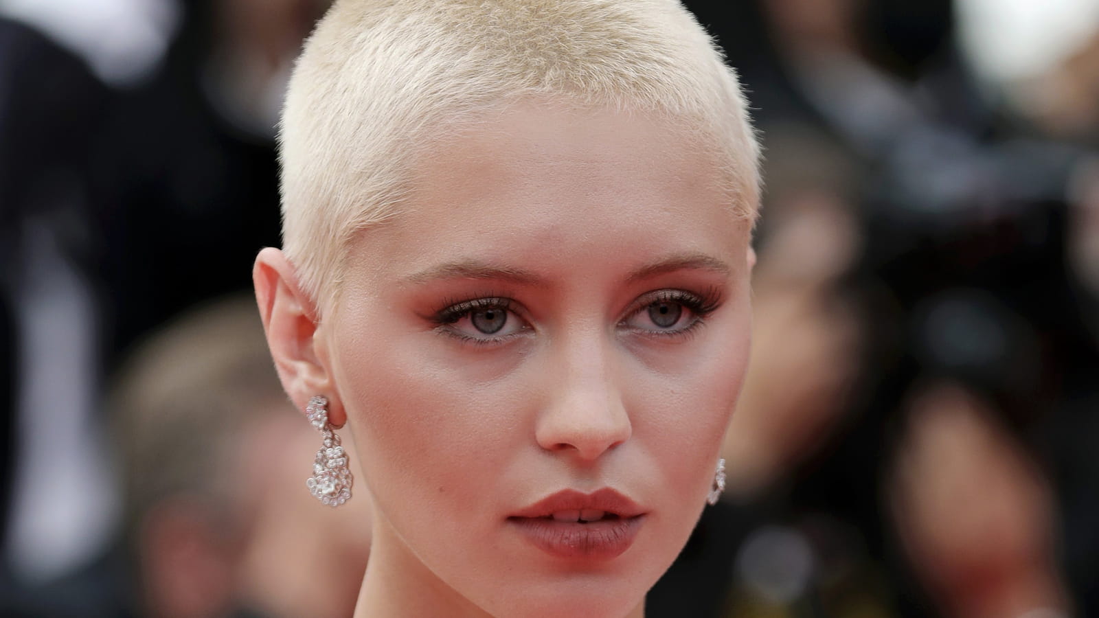 Iris Law