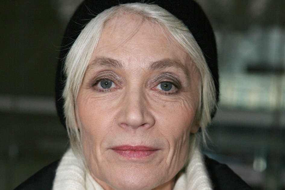 Le fard &agrave; paupi&egrave;res m&eacute;tallis&eacute; de Fran&ccedil;oise Hardy