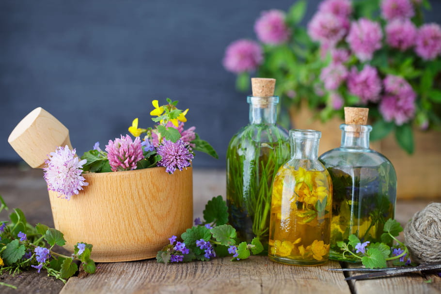 Quelles plantes éviter durant l'épidémie de coronavirus ?