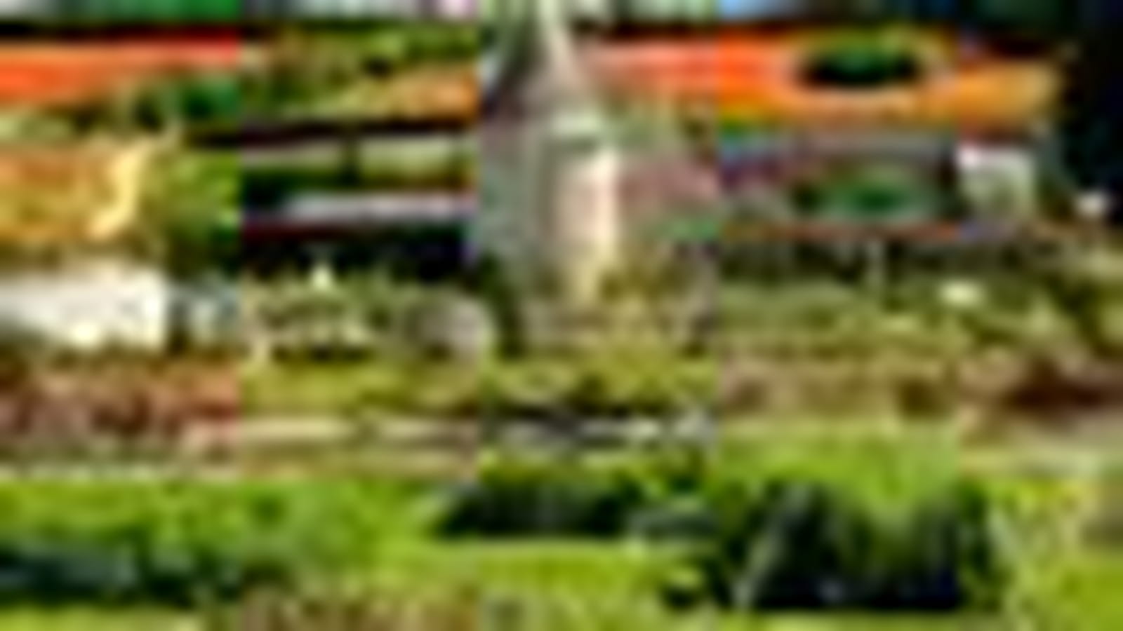 Le Jardin des Sciences botaniques