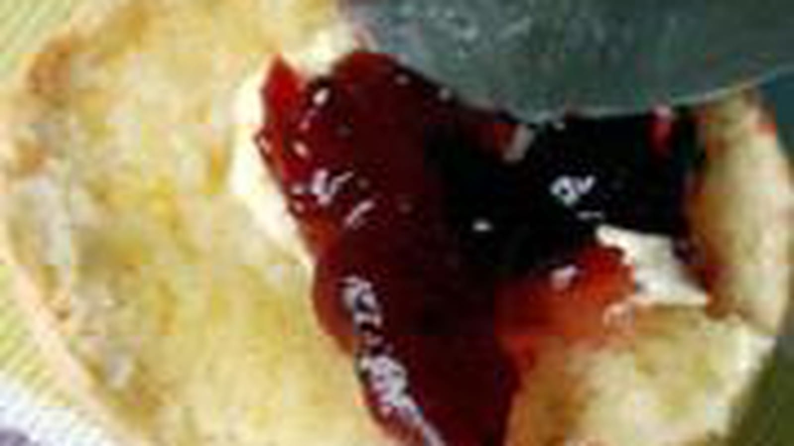 Scones au lait ribot