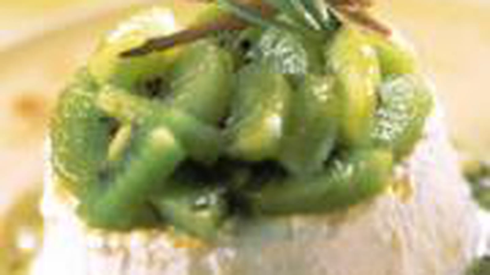 Timbale de faisselle saveur kiwi