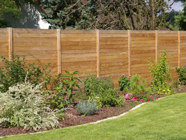 Le massif en bord de clôture