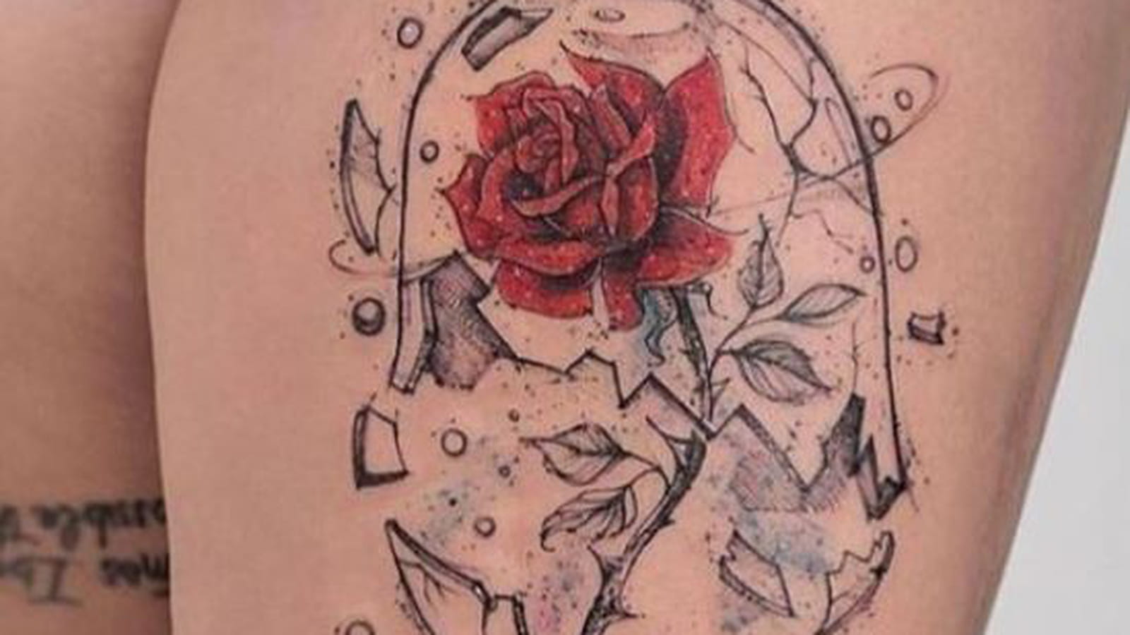 La rose de la Belle et la Bête