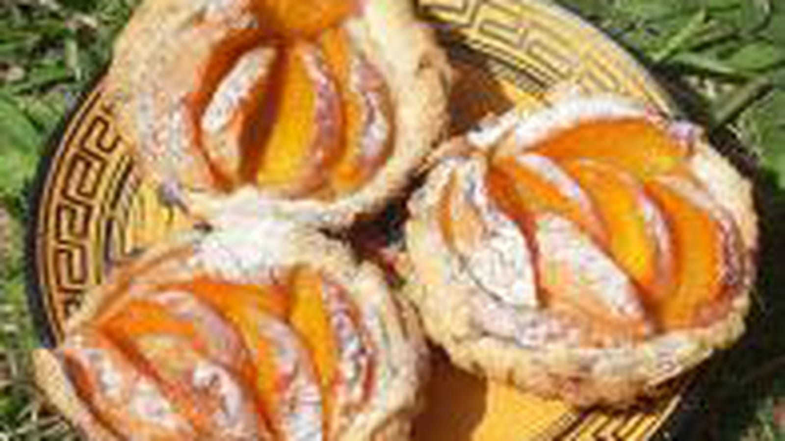 Tartelette feuilletée l'abricot