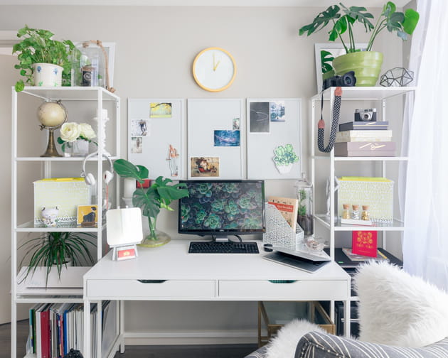 Un monstera pour mon bureau &agrave; la maison