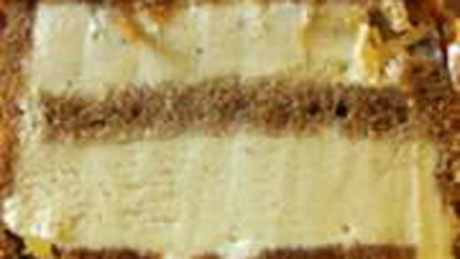 Charlotte de pain d'épice