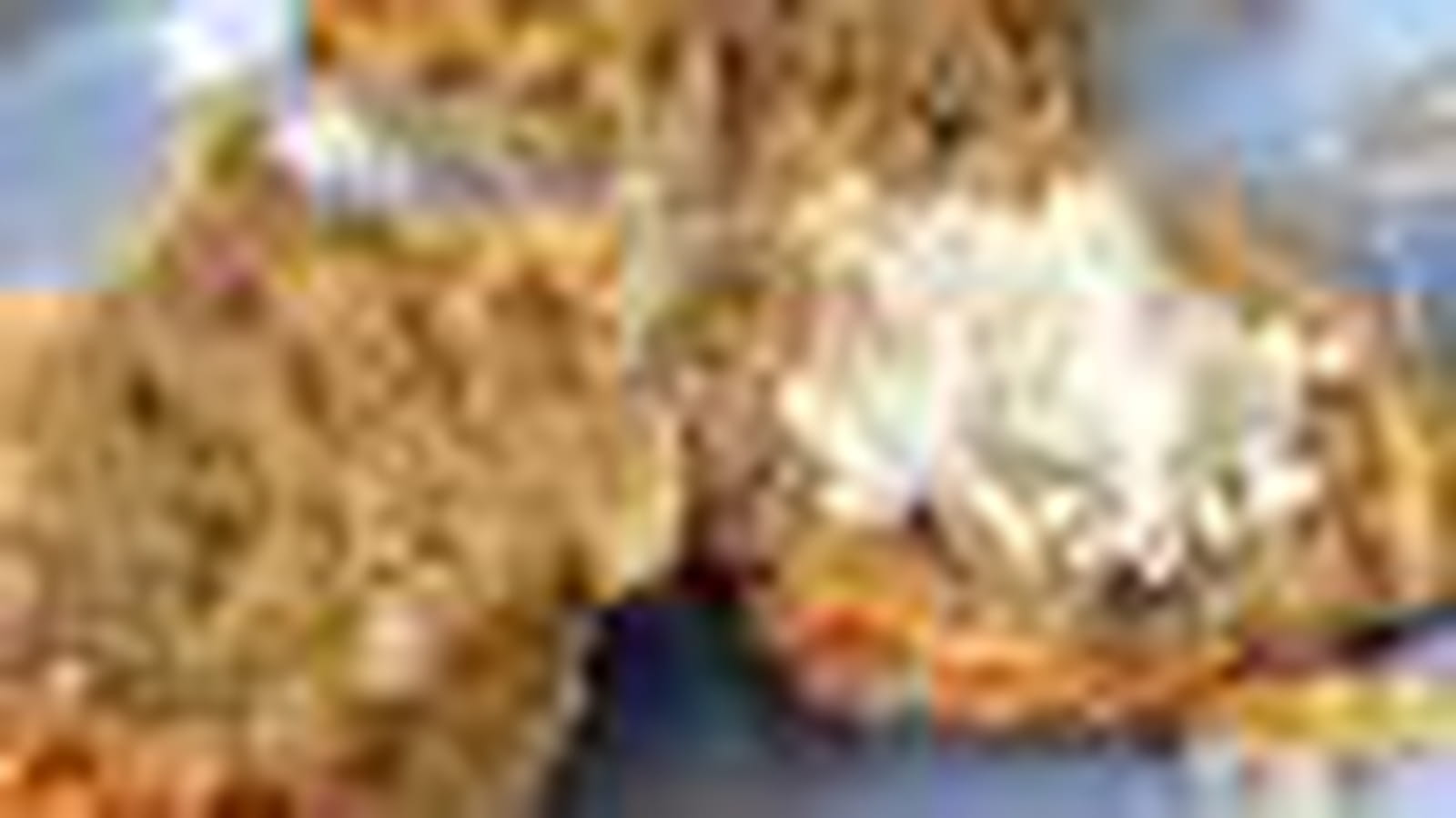 Scones