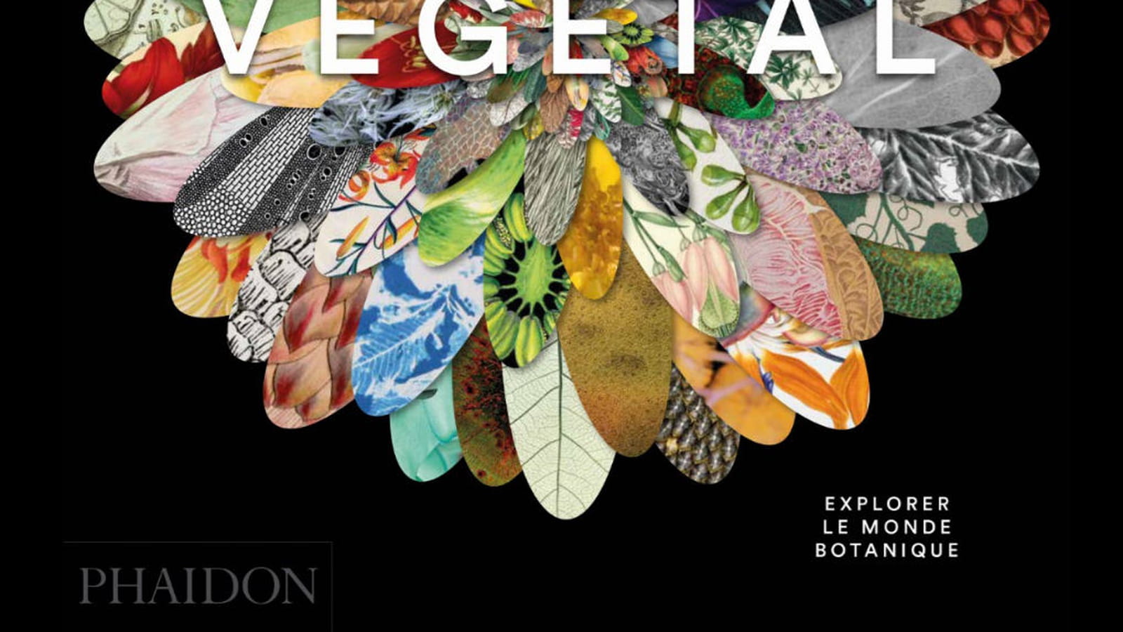 Végétal - Explorer le monde botanique