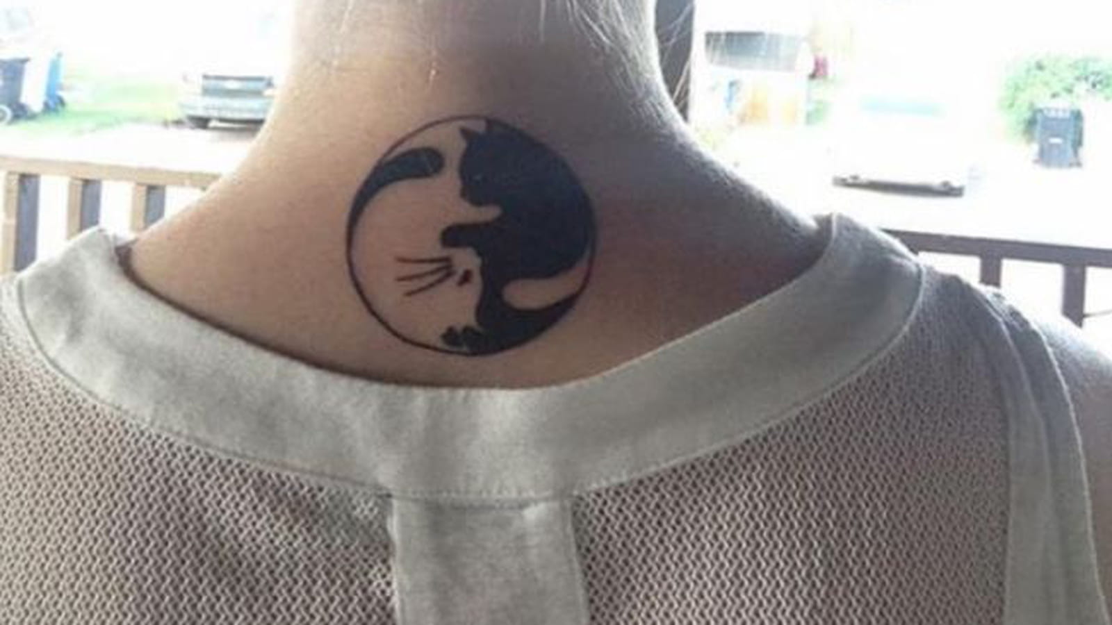 Chat ying yang sous la nuque