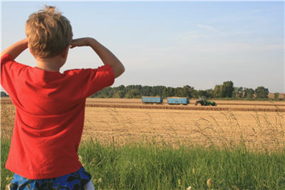 Pesticides : mais que font-ils dans les cheveux de nos enfants ?