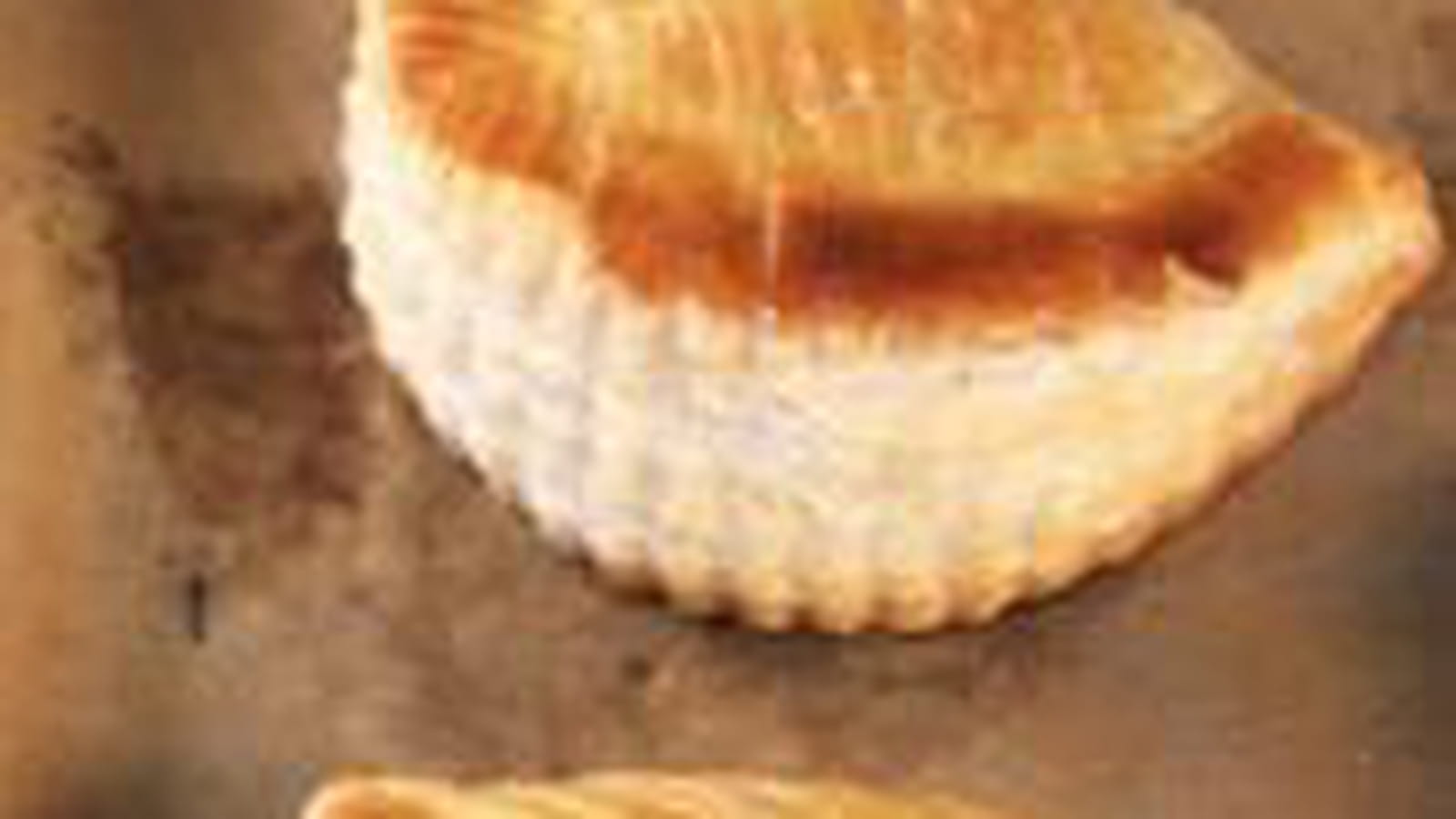 Chaussons aux pommes