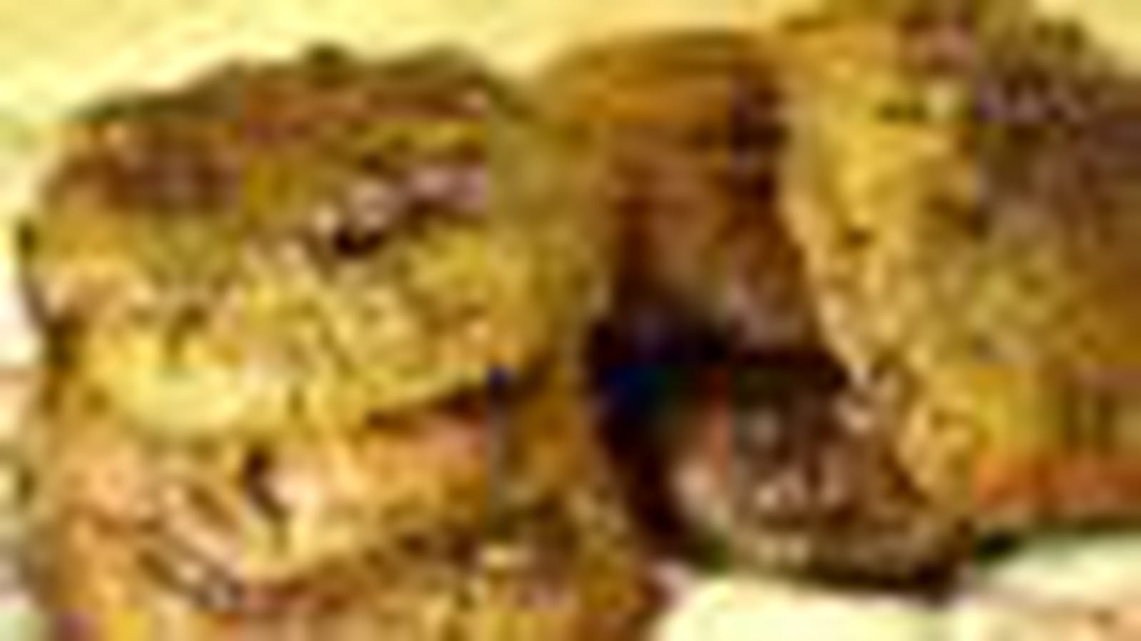 Raisins secs