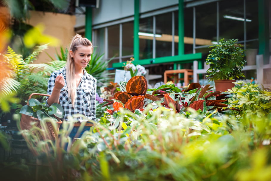 Quels végétaux choisir pour le jardin, le balcon, la terrasse ou l'intérieur ?
