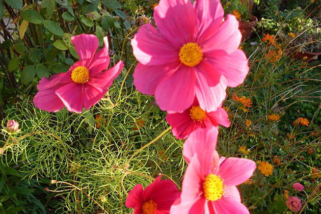 Une touche de légèreté