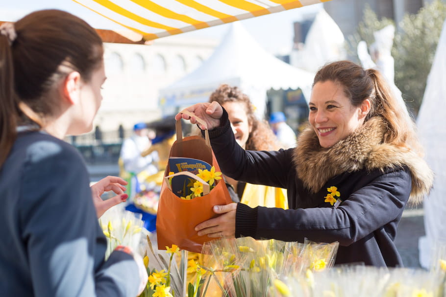 Des jonquilles pour l'Institut Curie : faites fleurir l'espoir contre le cancer