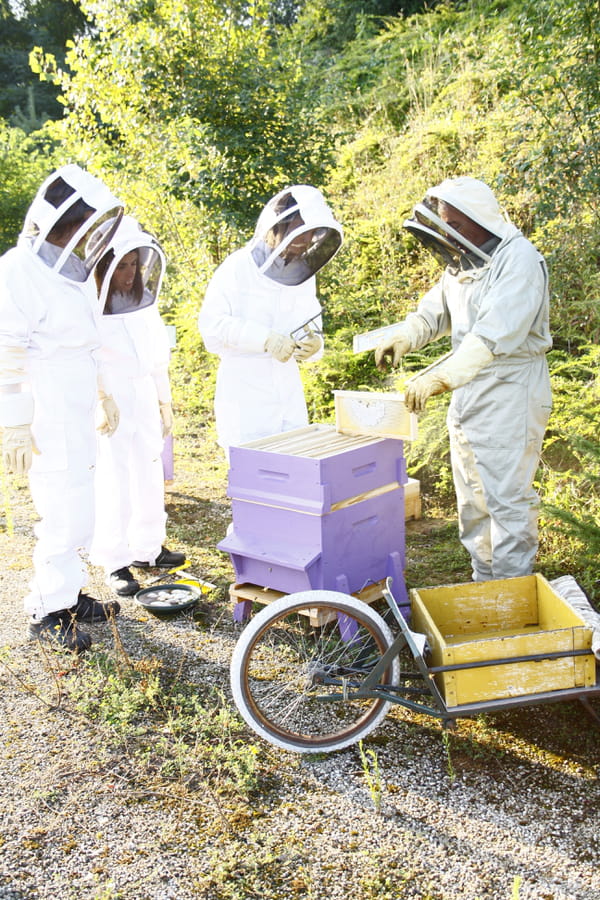 truffaut-operation-oui-abeilles