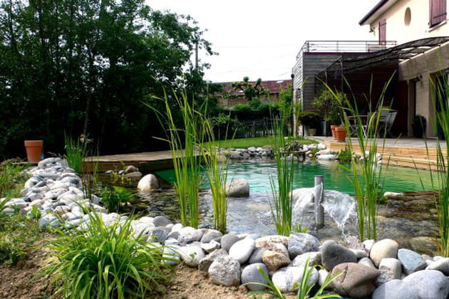 Une piscine biologique