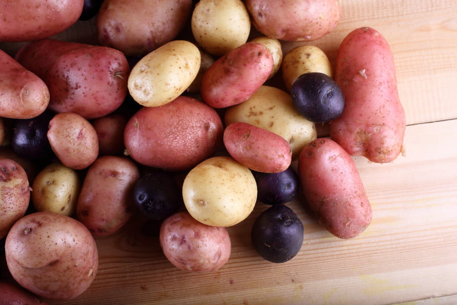 Quelles variétés de pommes de terre pour quel plat ?