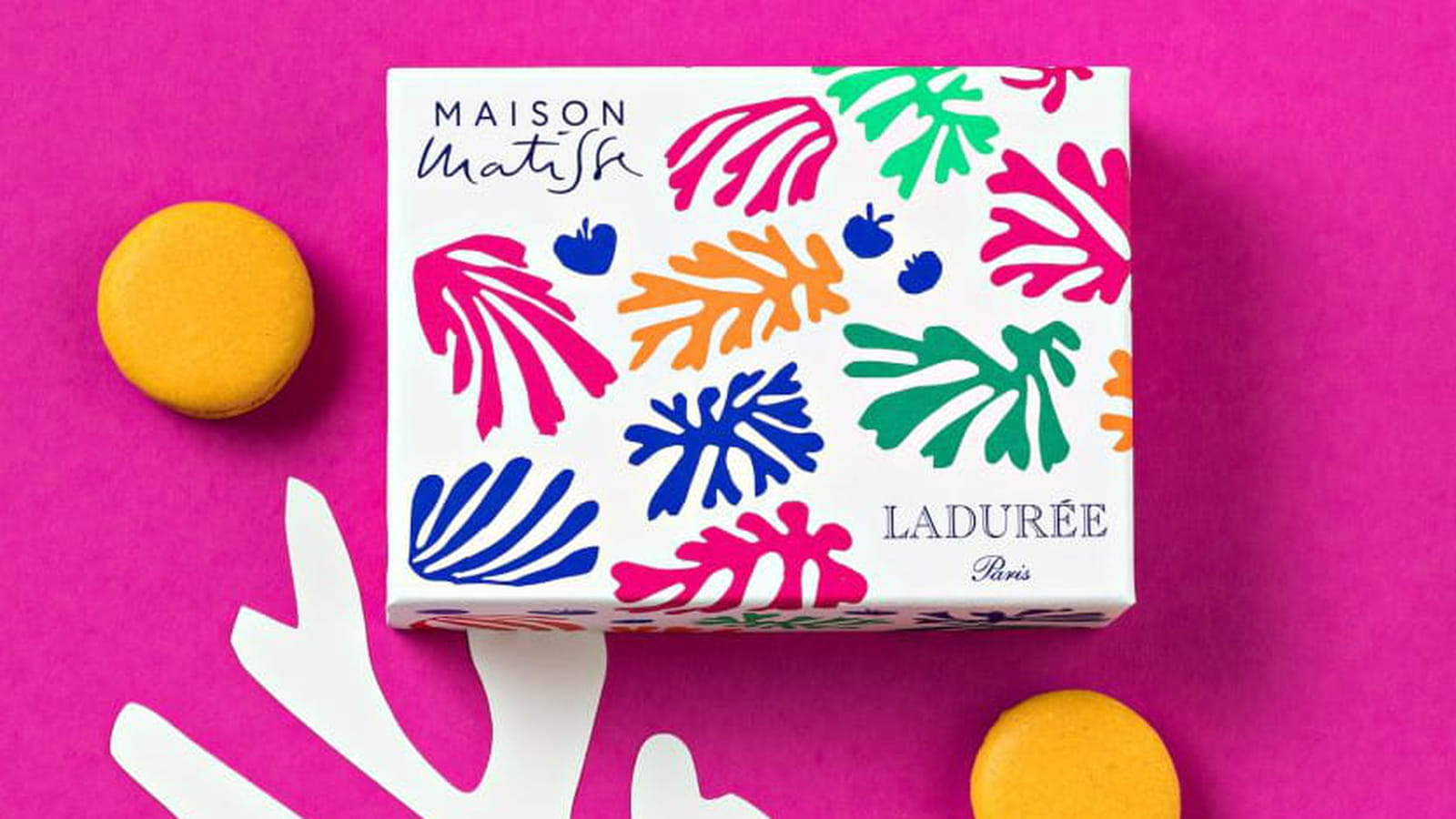 Ladurée x Maison Matisse
