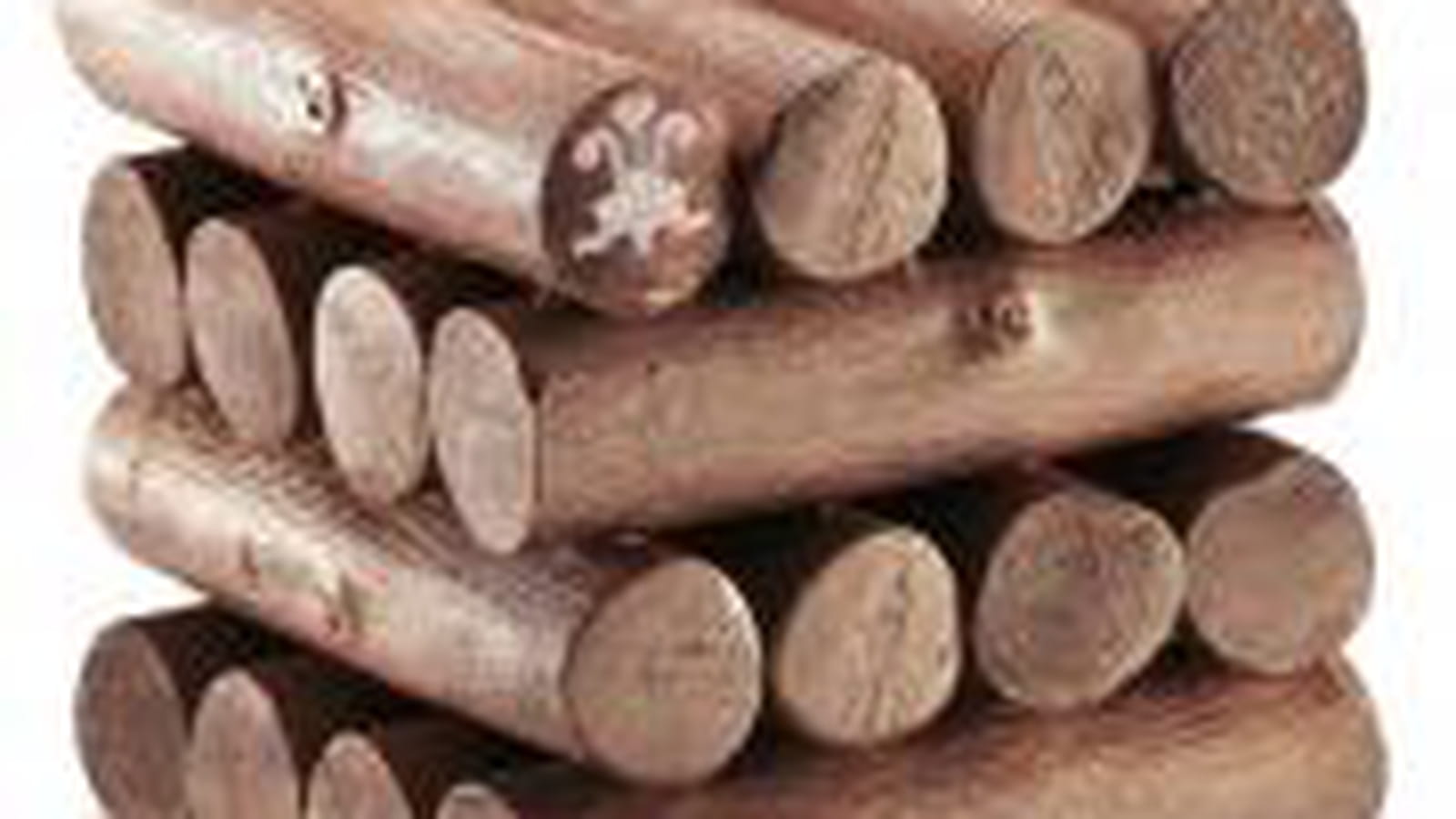 Bûche Prince de Galles