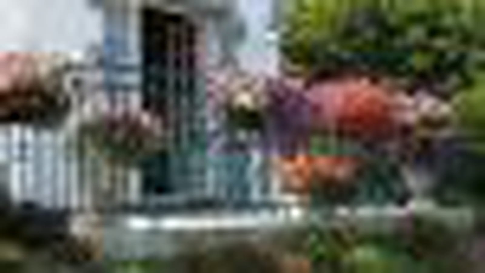 Jardinières