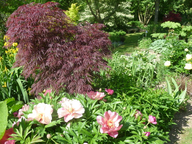 Les jardins tout au long de l'année