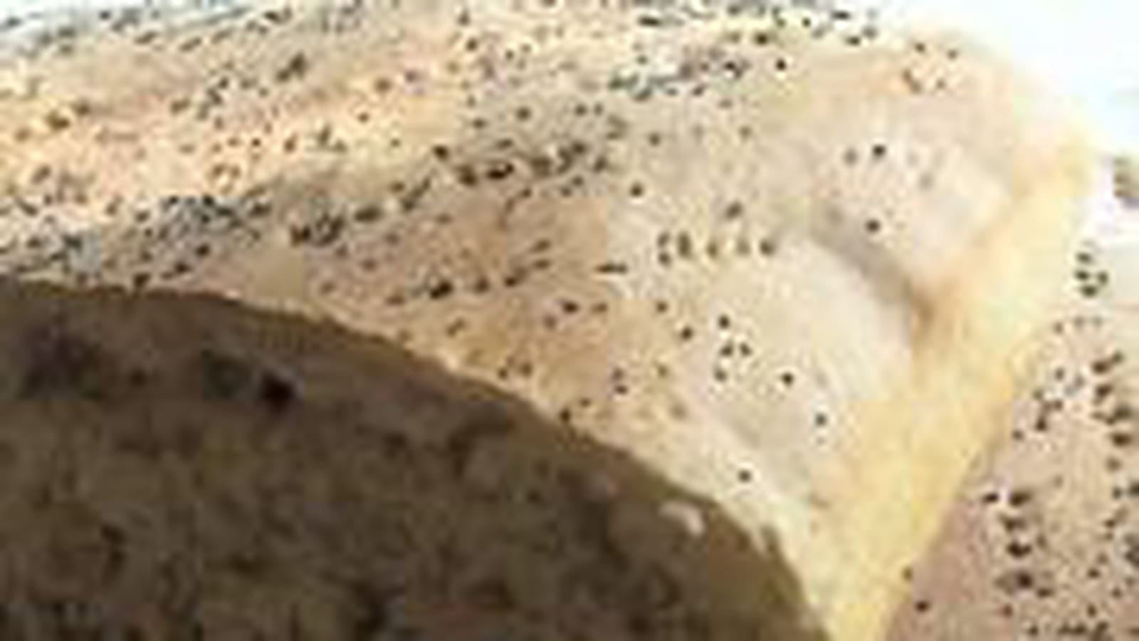 Pain marocain