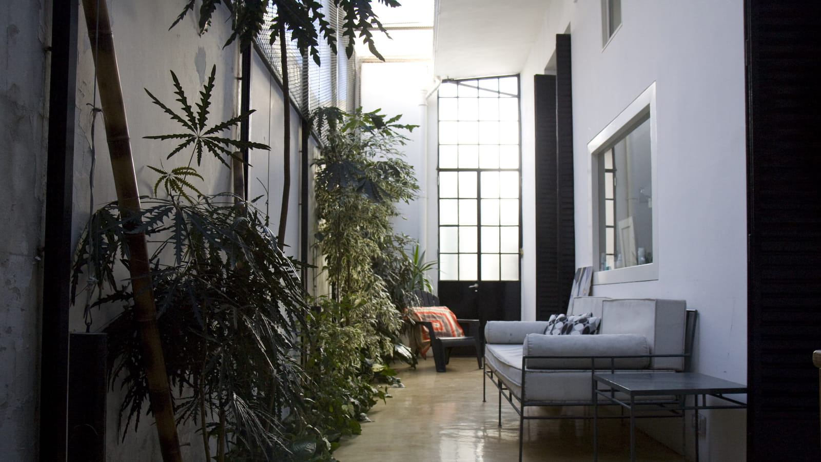 Ambiance tropicale