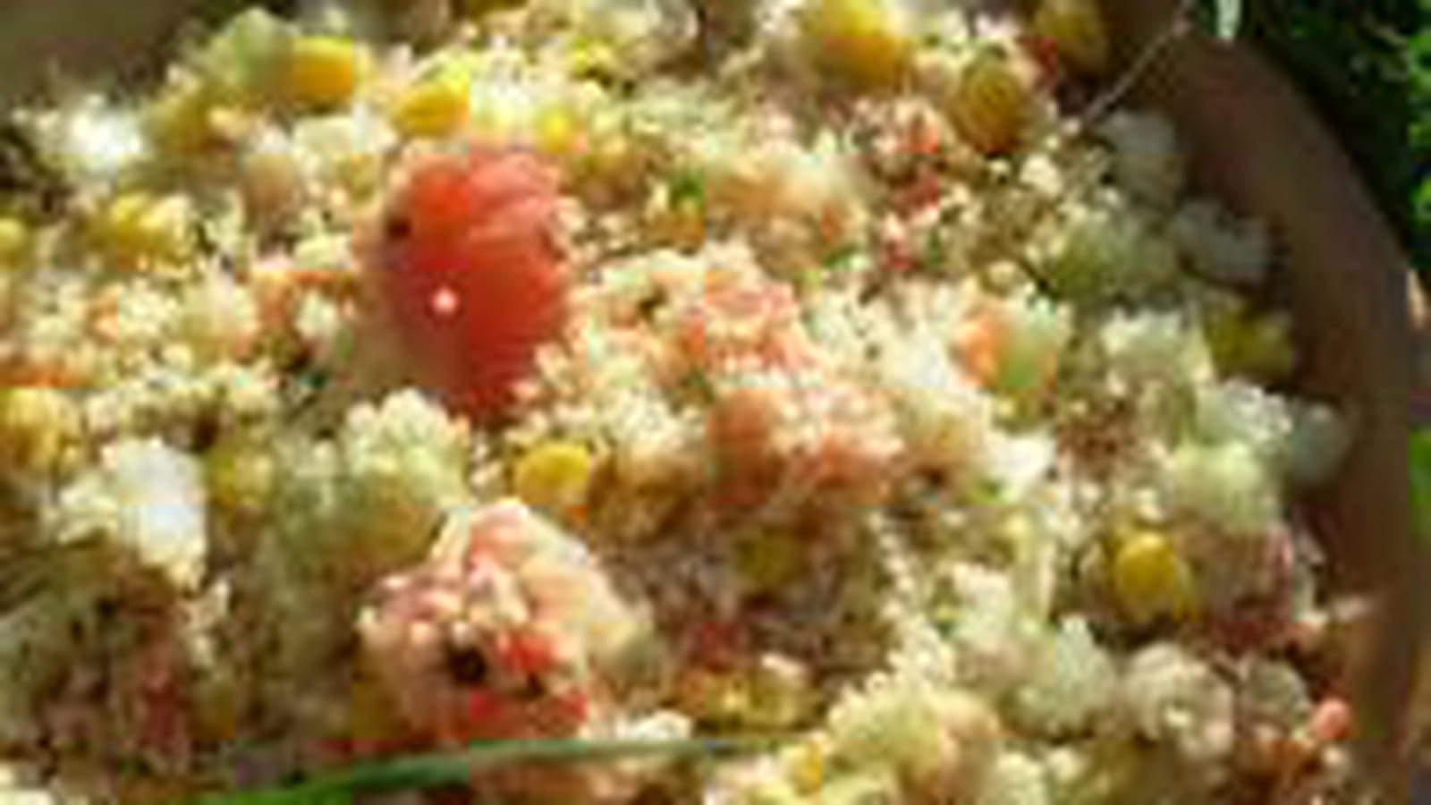 Taboulé aux crevettes