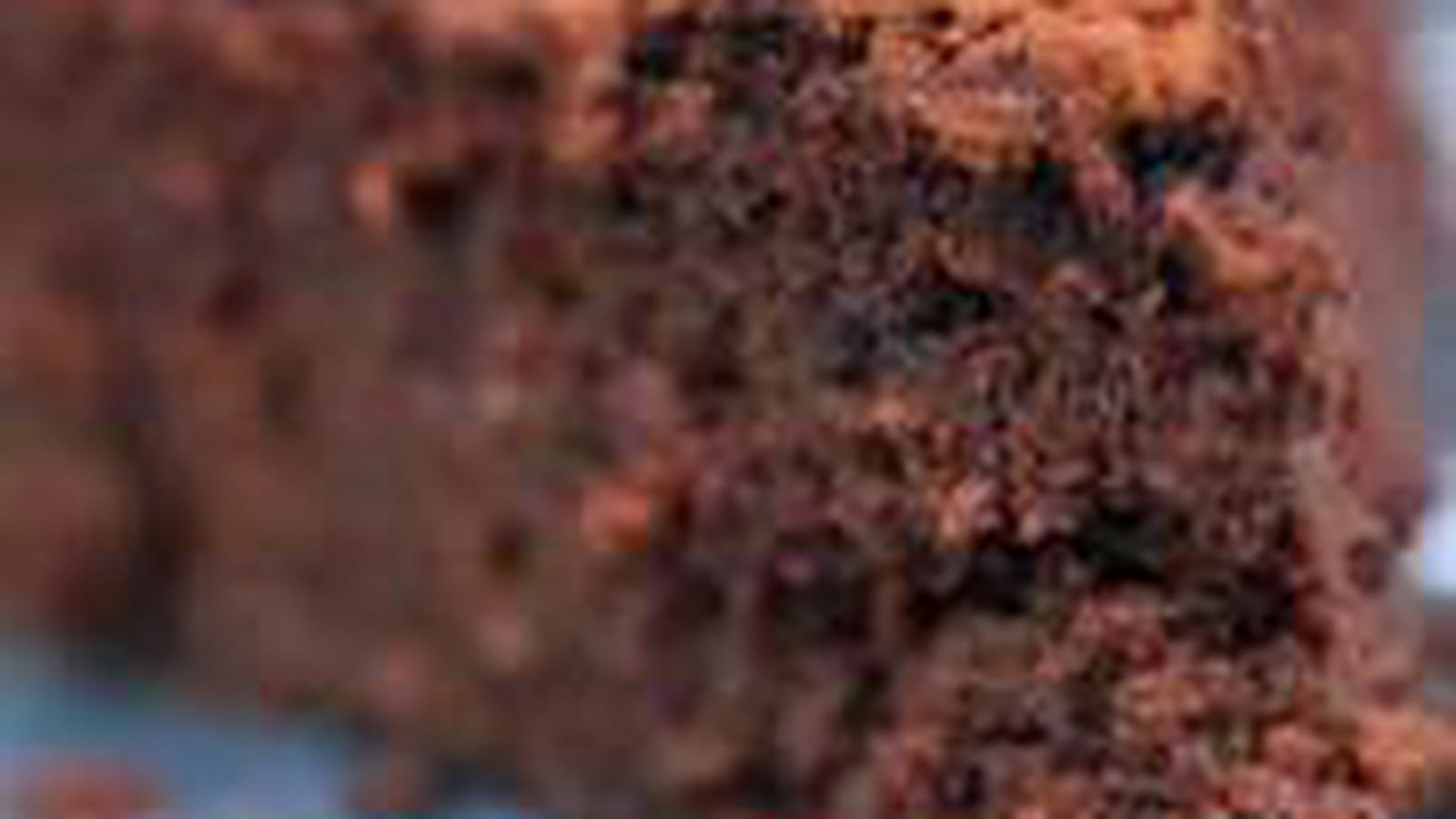 Fondant au chocolat, pois chiche et datte 