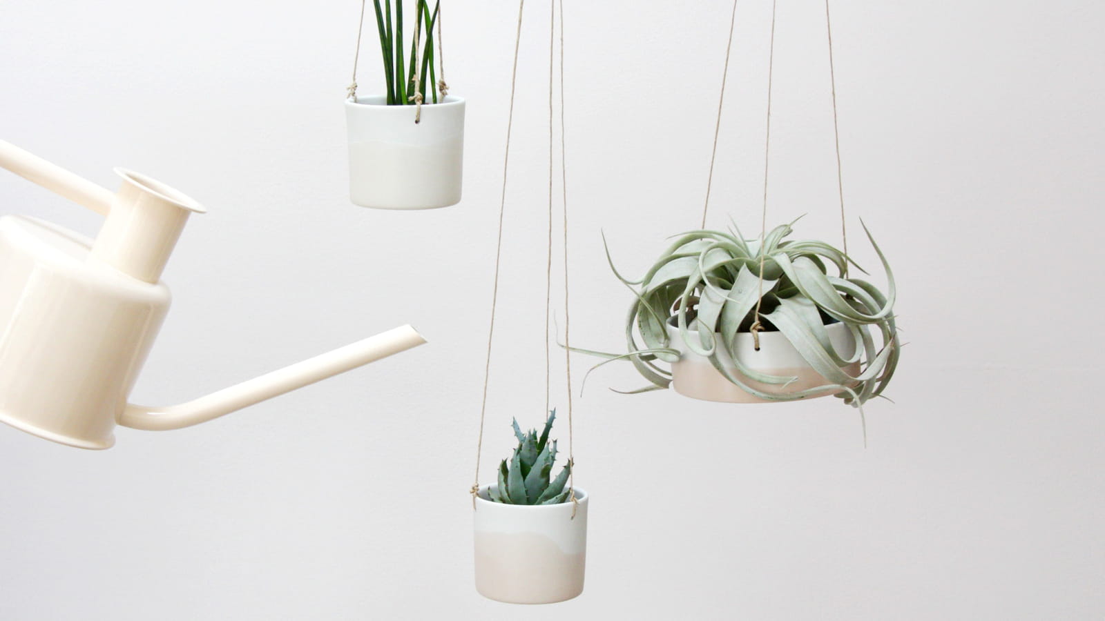 Pots suspendus