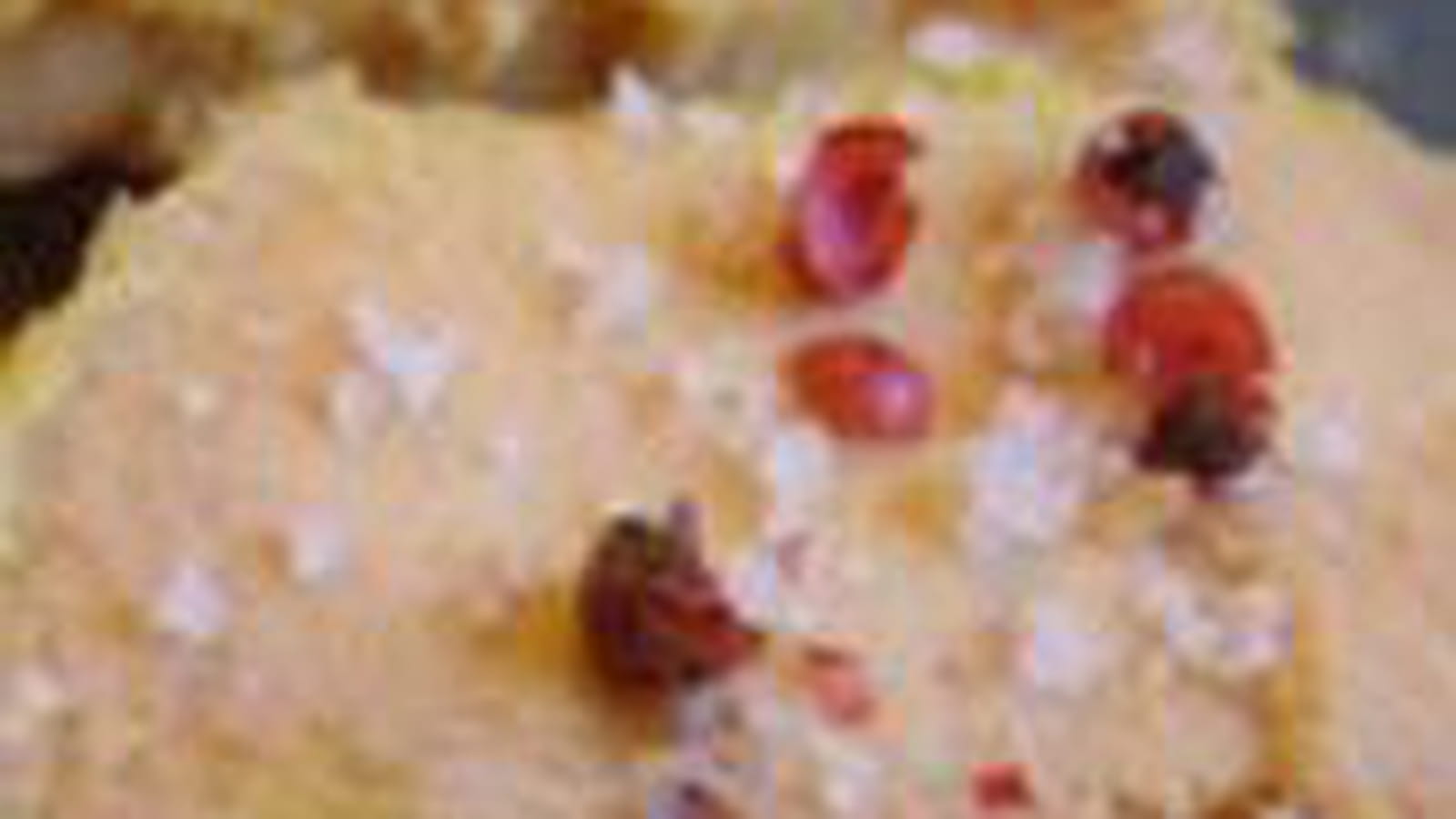 Ballotins de foie gras