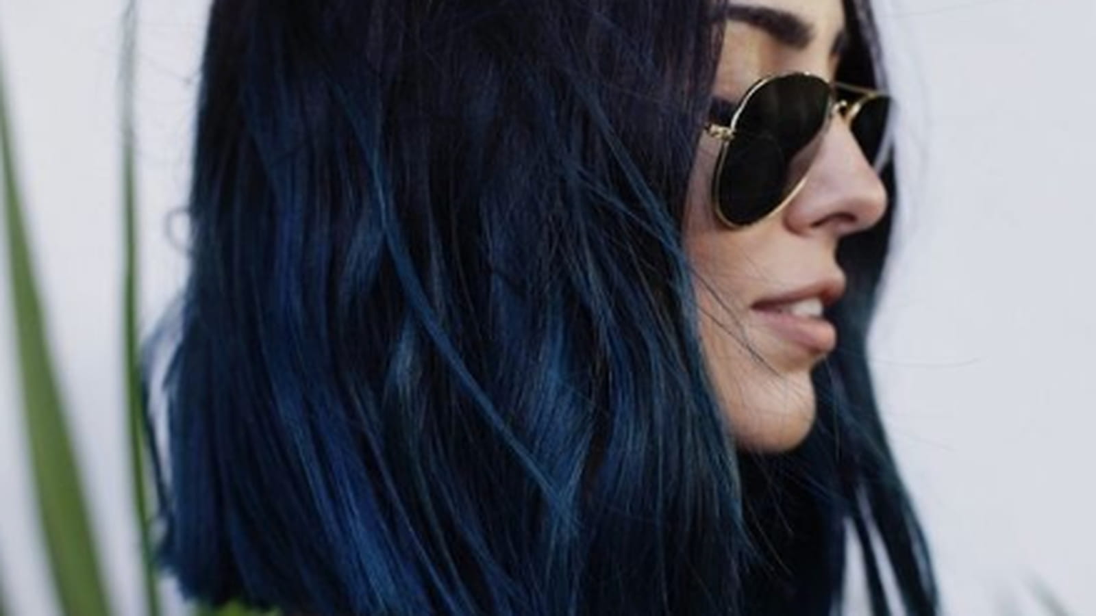 Les longueurs bleues