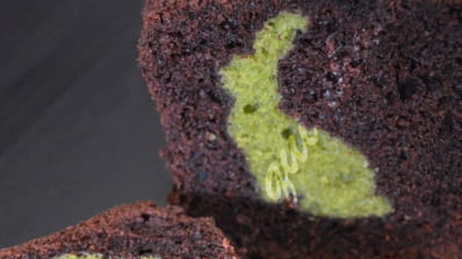 Cake chocolat insert lapin à la pistache