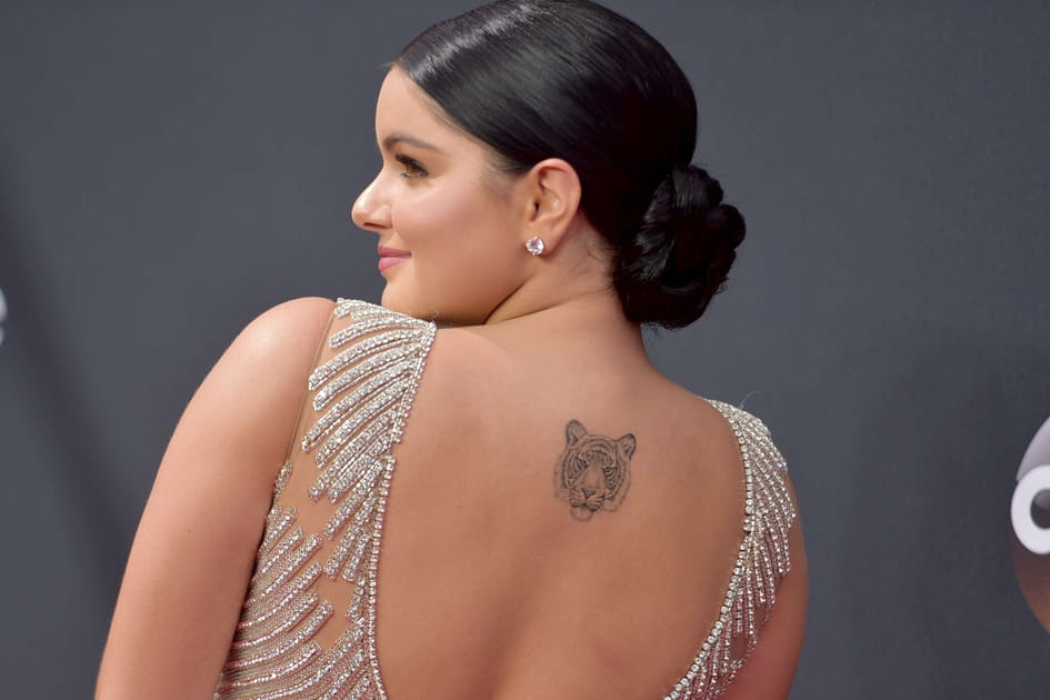 20&nbsp;mod&egrave;les de tatouages avec un tigre &agrave; copier