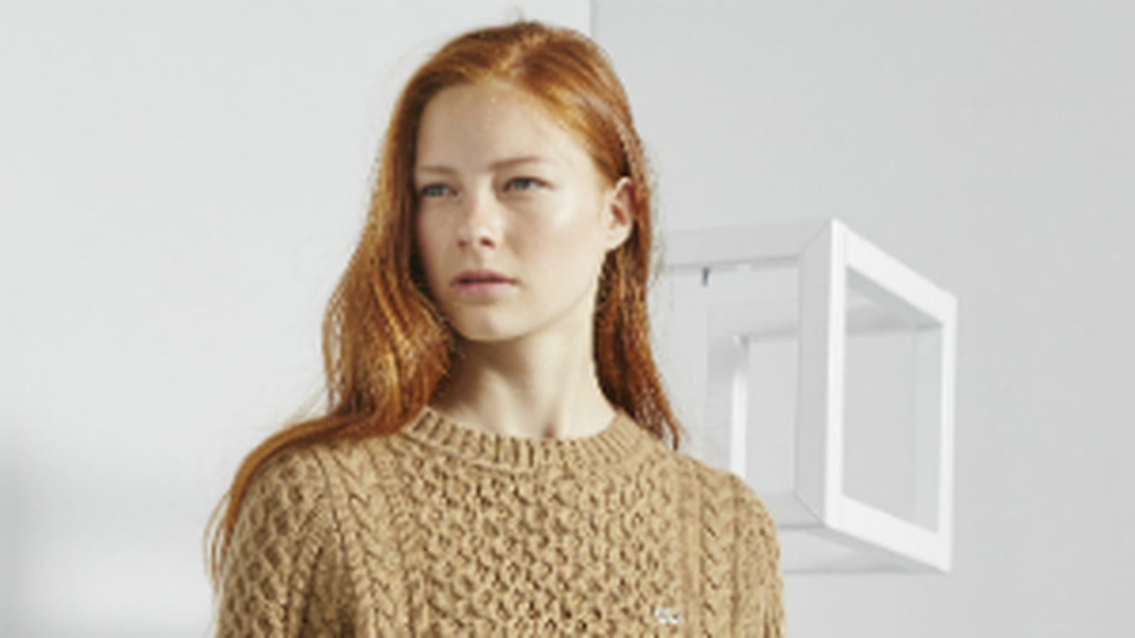 Pull Lacoste Live