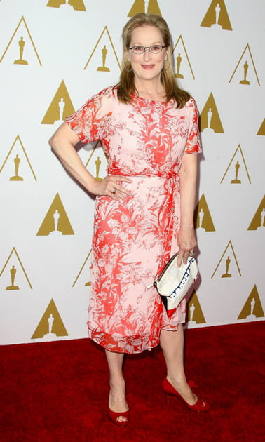Meryl Streep en robe mi-longue rose imprimée Max Mara