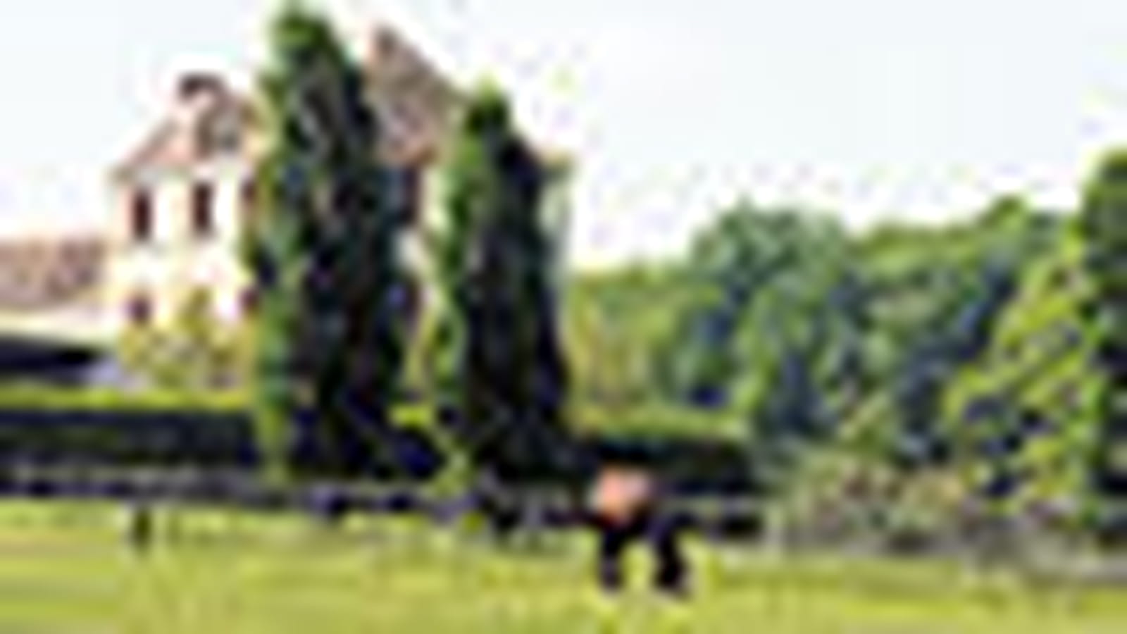 Le haras